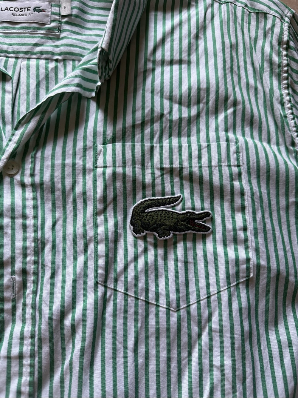 Lacoste Green & White Striped Unisex Shirt